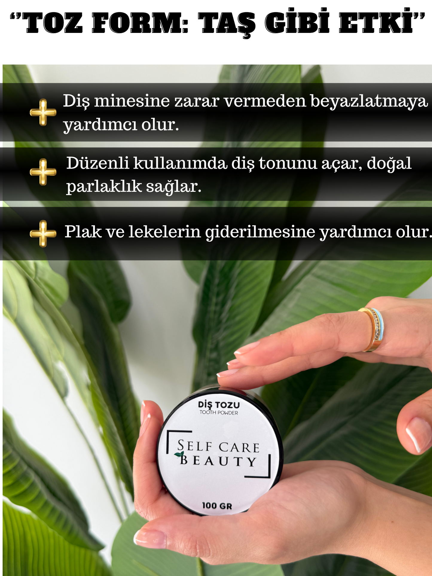 Diş Tozu